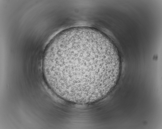 X0000113071220200910091159