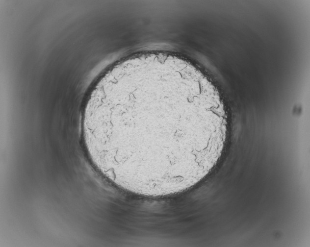 X0000113071221200910091159