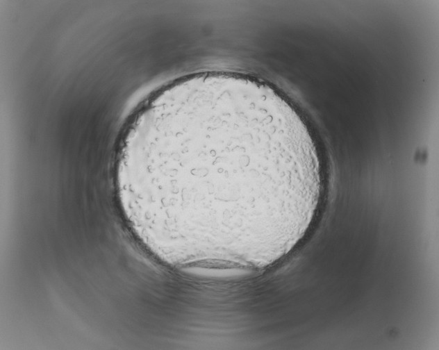 X0000113071222200910091159