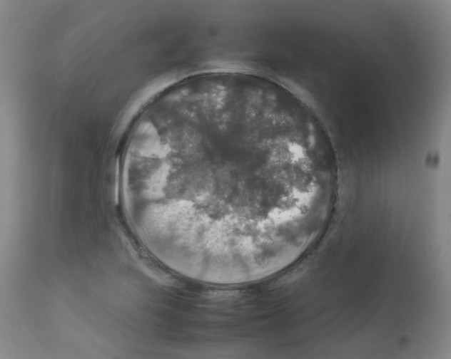 X0000113071223200910091159