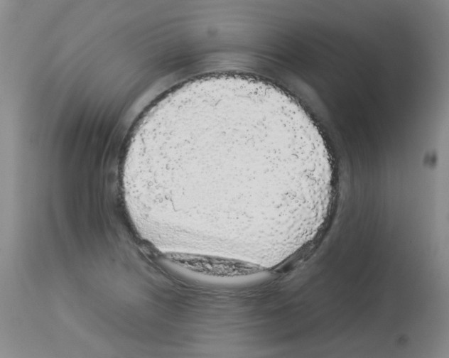 X0000113071226200910091200