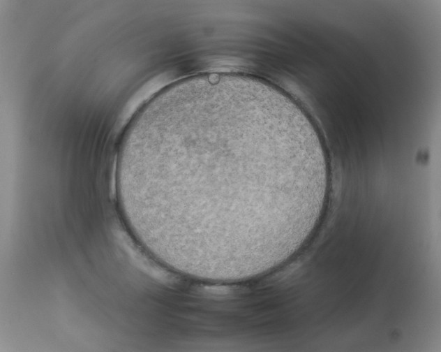 X0000113071227200910091200