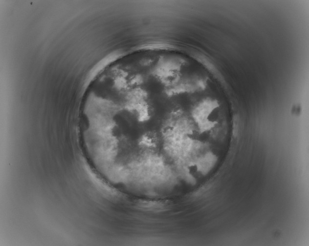 X0000113071229200910091200