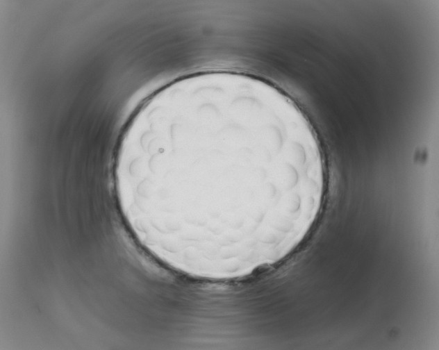 X0000113071230200910091200