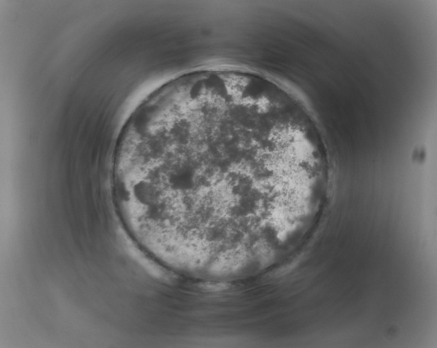 X0000113071231200910091200