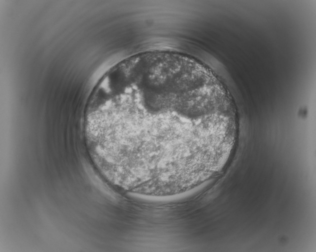 X0000113071234200910091200