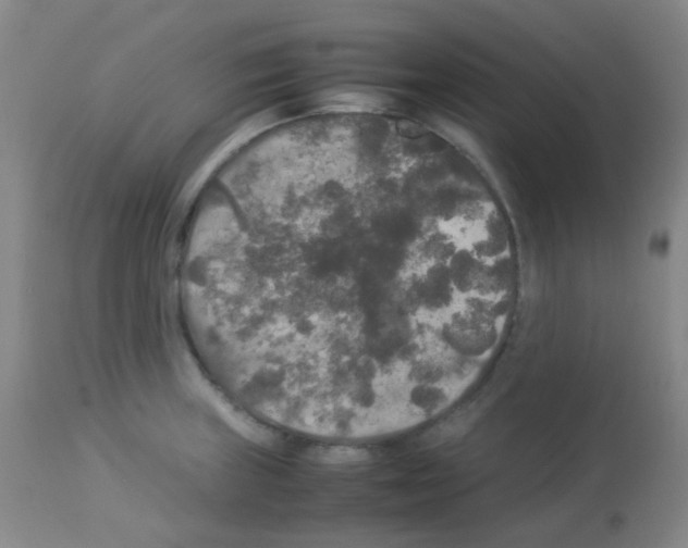 X0000113071235200910091200