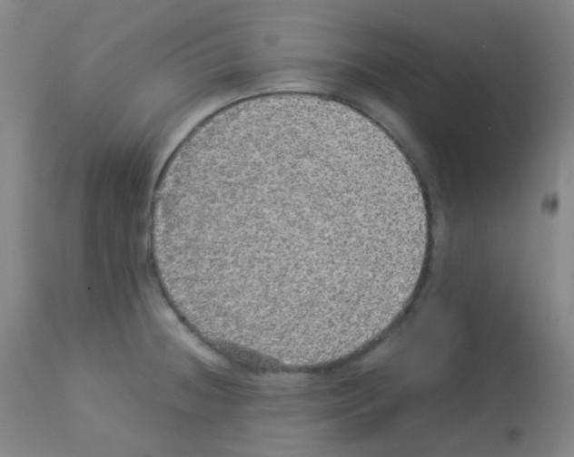 X0000113071236200910091200