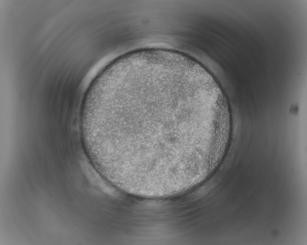 X0000113071240200910091200