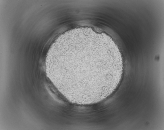 X0000113071241200910091200