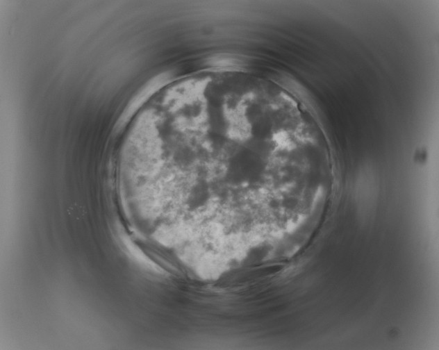 X0000113071243200910091200