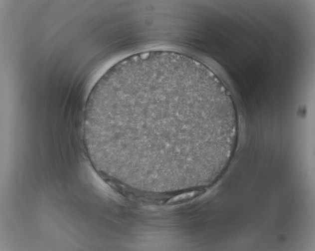 X0000113071244200910091200