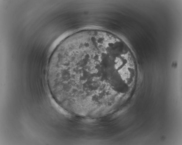 X0000113071245200910091200