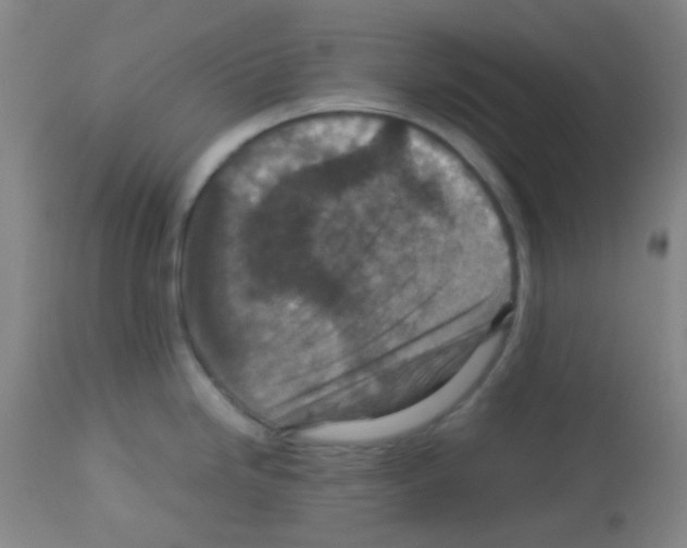 X0000113071246200910091200