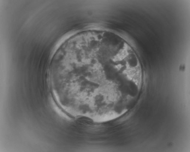 X0000113071247200910091200