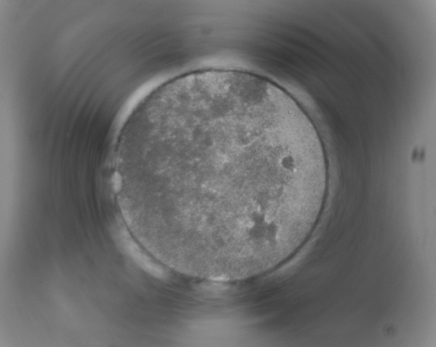 X0000113071248200910091200