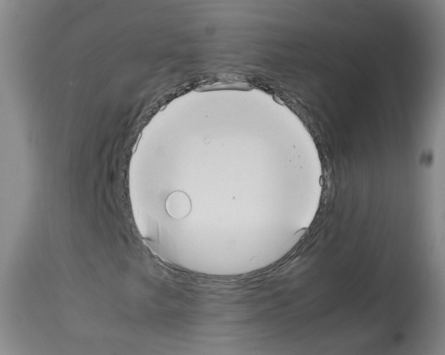 X0000113071249200910091159