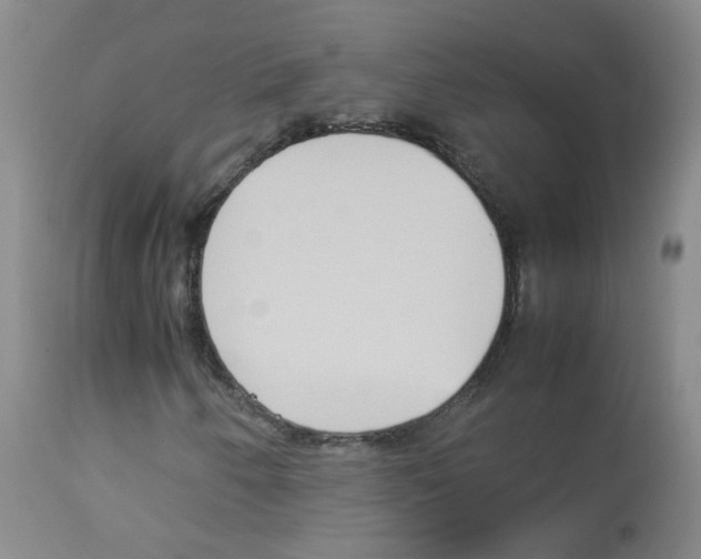 X0000113071250200910091159
