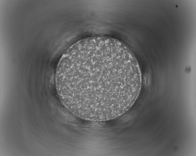 X0000113071251200910091159