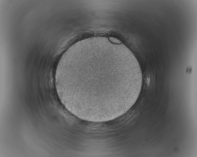 X0000113071252200910091159