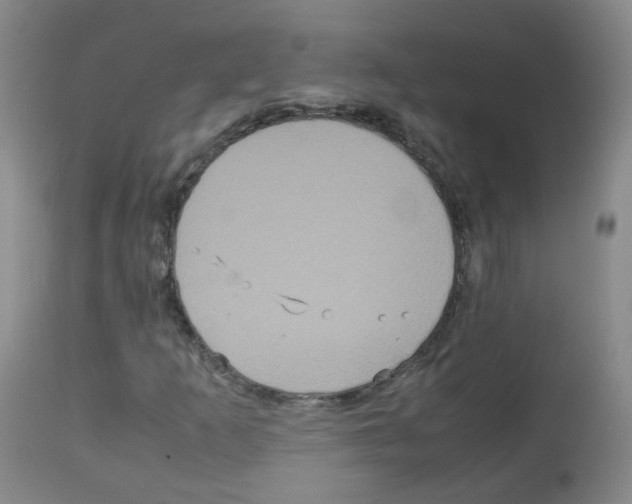 X0000113071253200910091159