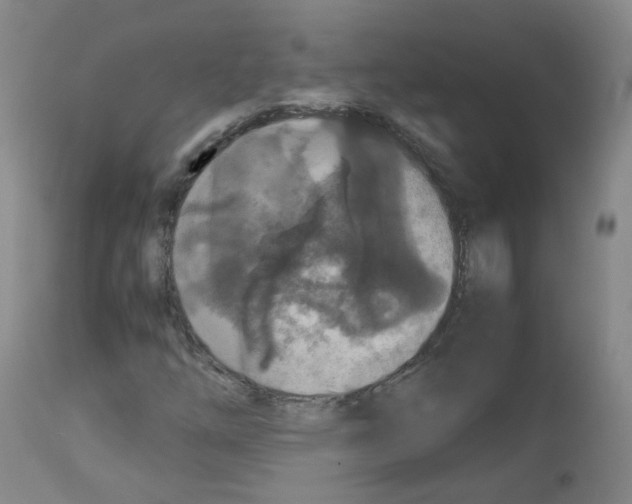 X0000113071254200910091159