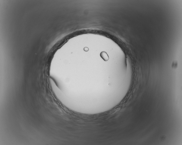 X0000113071255200910091159