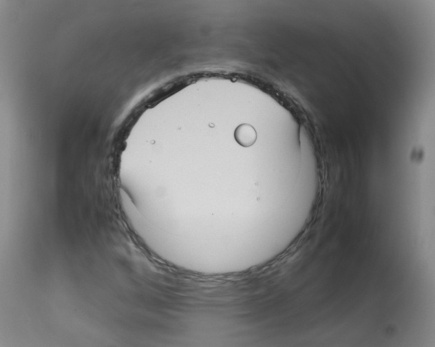 X0000113071256200910091159