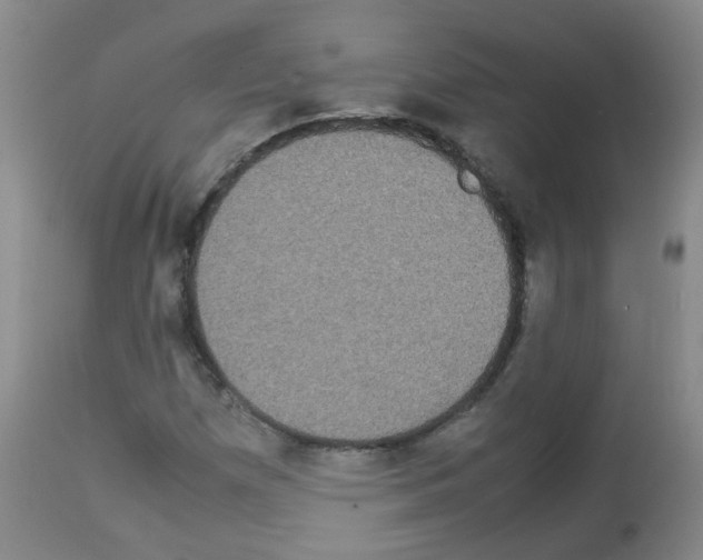 X0000113071257200910091159