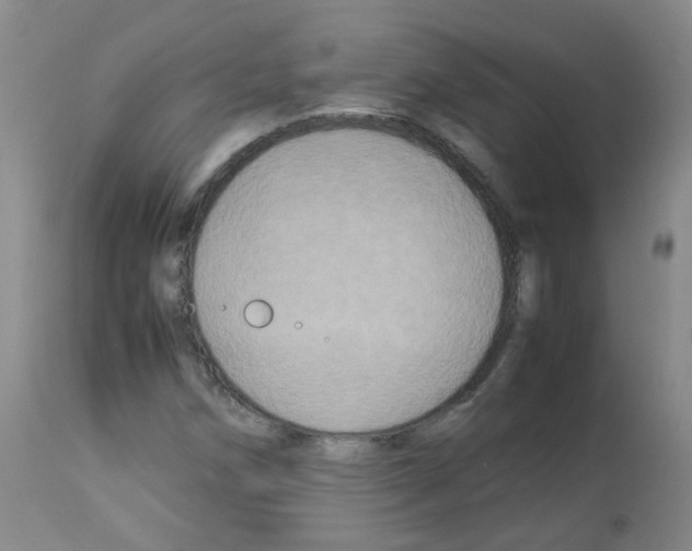 X0000113071258200910091159