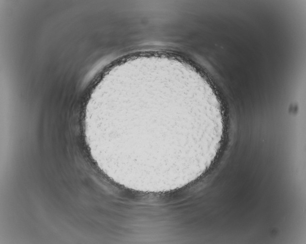 X0000113071259200910091159