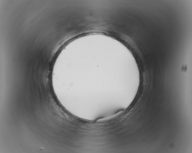 X0000113071260200910091159