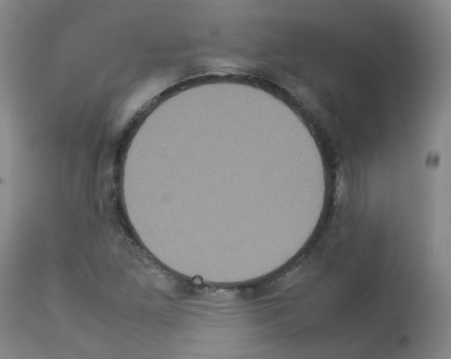 X0000113071261200910091159