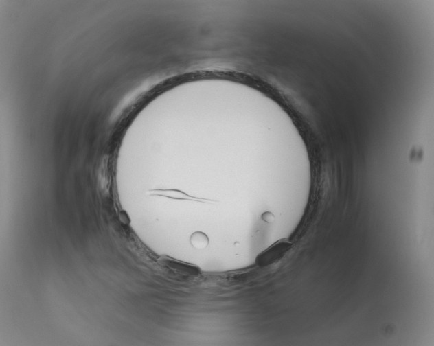 X0000113071262200910091159