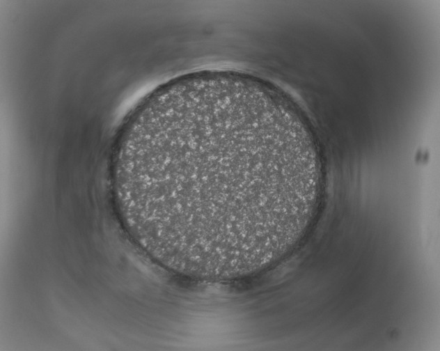 X0000113071263200910091159