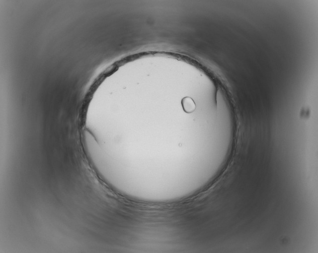 X0000113071264200910091159