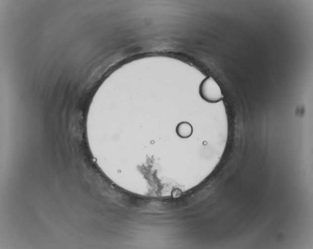 X0000113071265200910091159