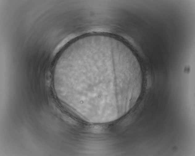 X0000113071266200910091159