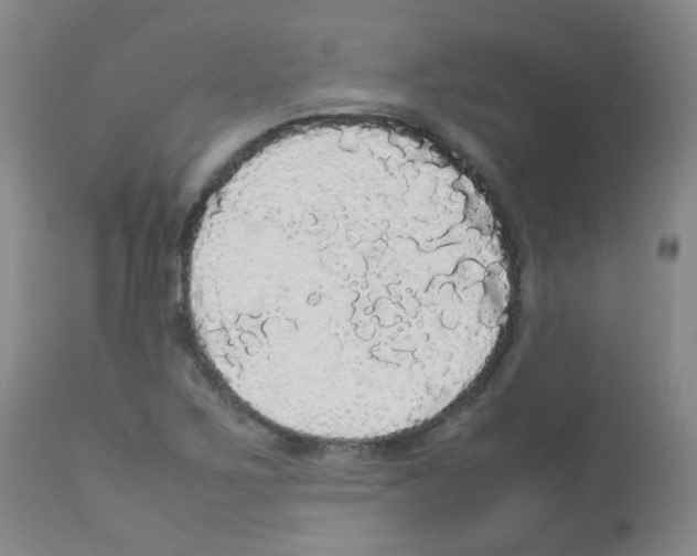 X0000113071267200910091159
