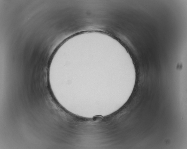 X0000113071268200910091159