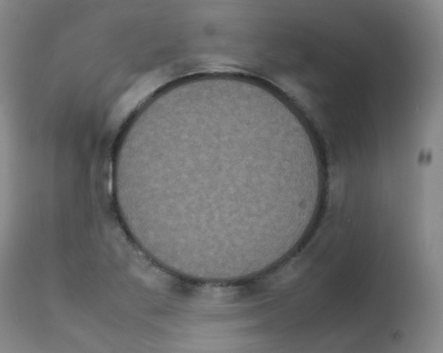 X0000113071269200910091159