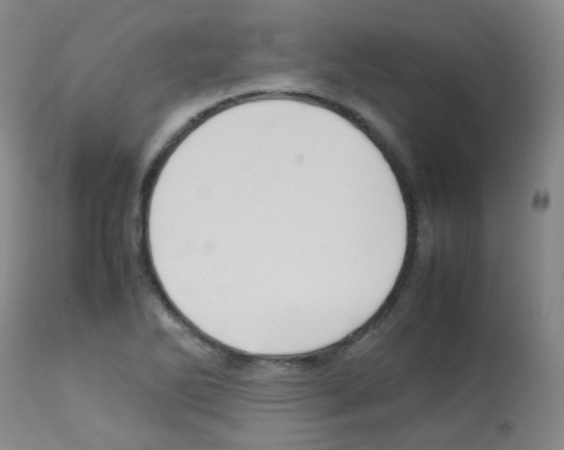 X0000113071270200910091159