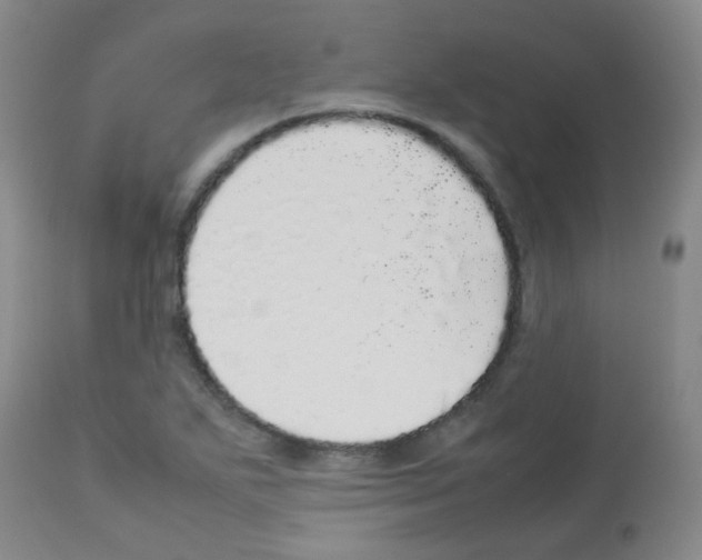 X0000113071271200910091159