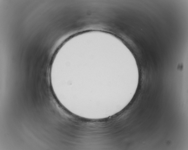 X0000113071272200910091159
