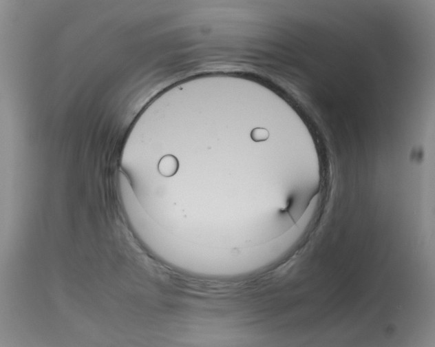 X0000113071273200910091159