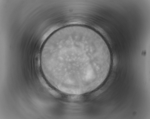 X0000113071274200910091159