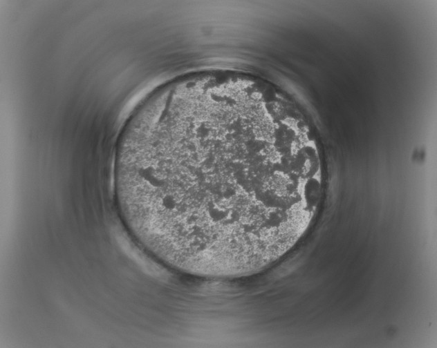 X0000113071275200910091159