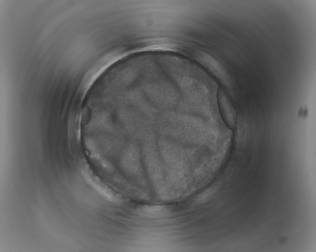 X0000113071276200910091159