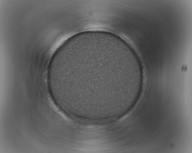 X0000113071277200910091159