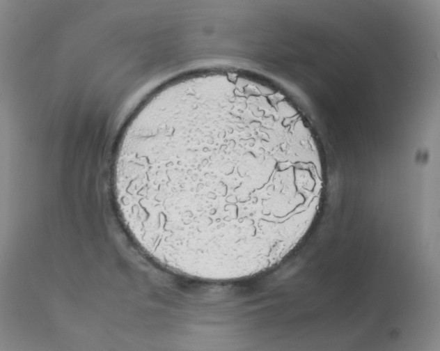 X0000113071279200910091159